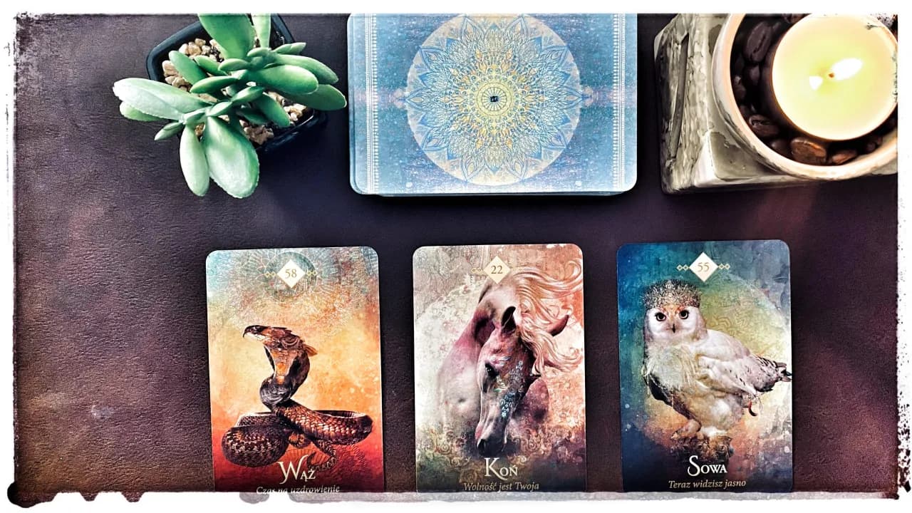 Czy tarot tak czy nie wyrocznia daje pewne odpowiedzi na pytania?