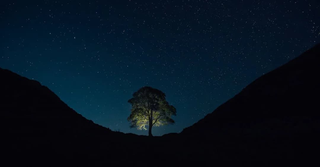 Gwiazdy na niebie vs polskie gwiazdy kina - co łączy?
