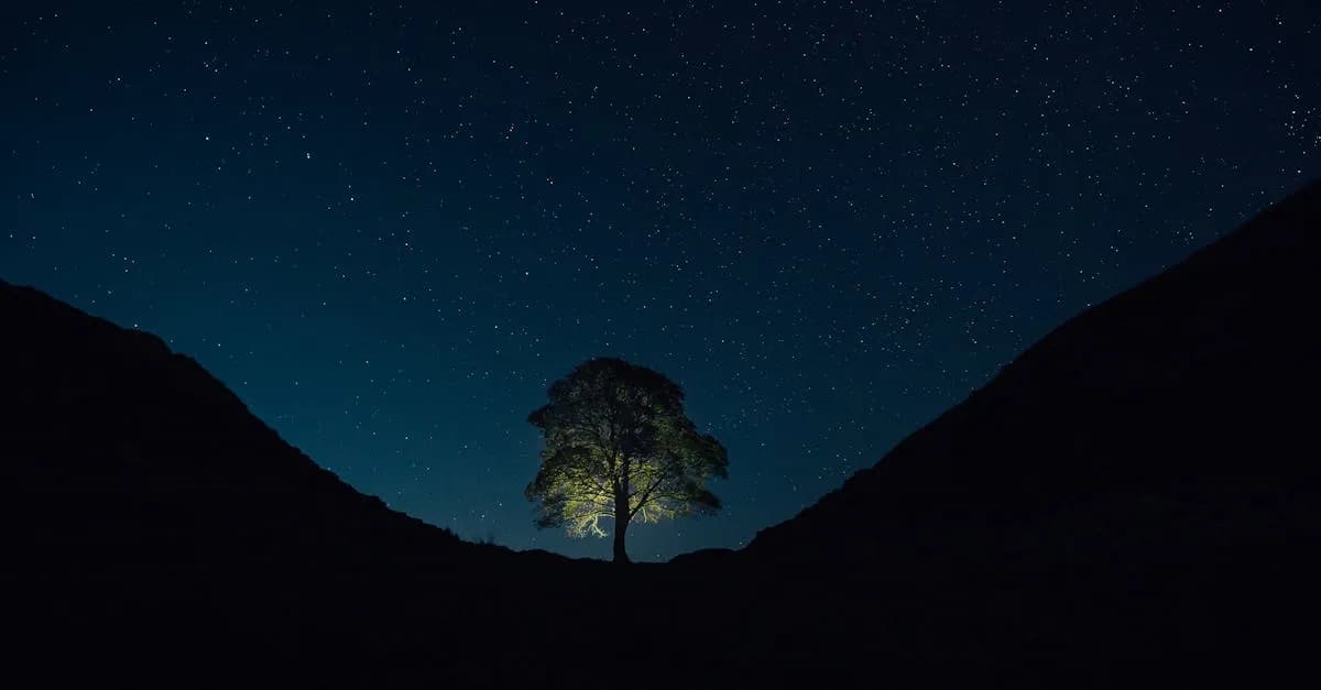 Gwiazdy na niebie vs polskie gwiazdy kina - co łączy?