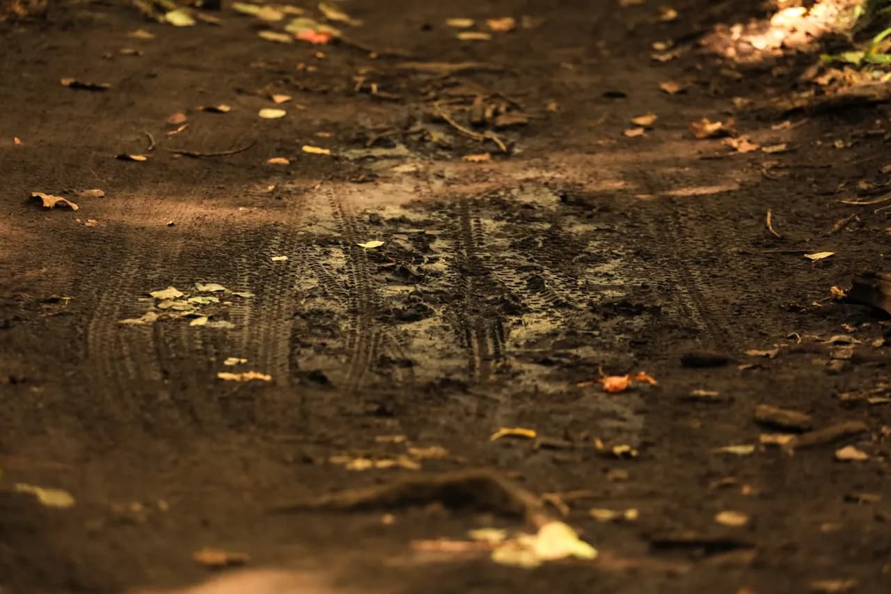 Co oznacza sen chodzić po błocie? Odkryj jego głębokie znaczenie